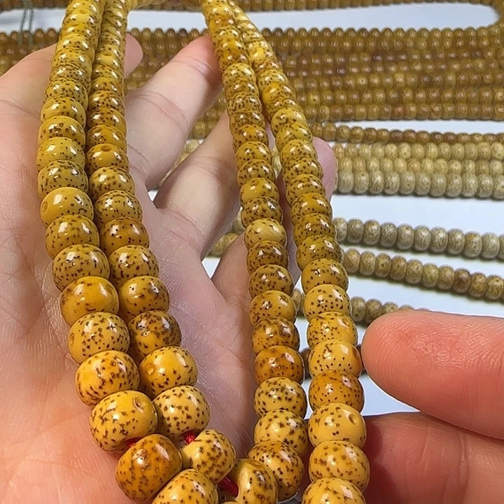 老脱脂星月菩提120