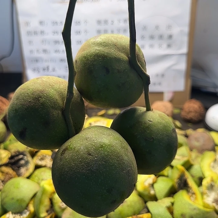 吊坠文玩核桃宫灯两连枝4颗