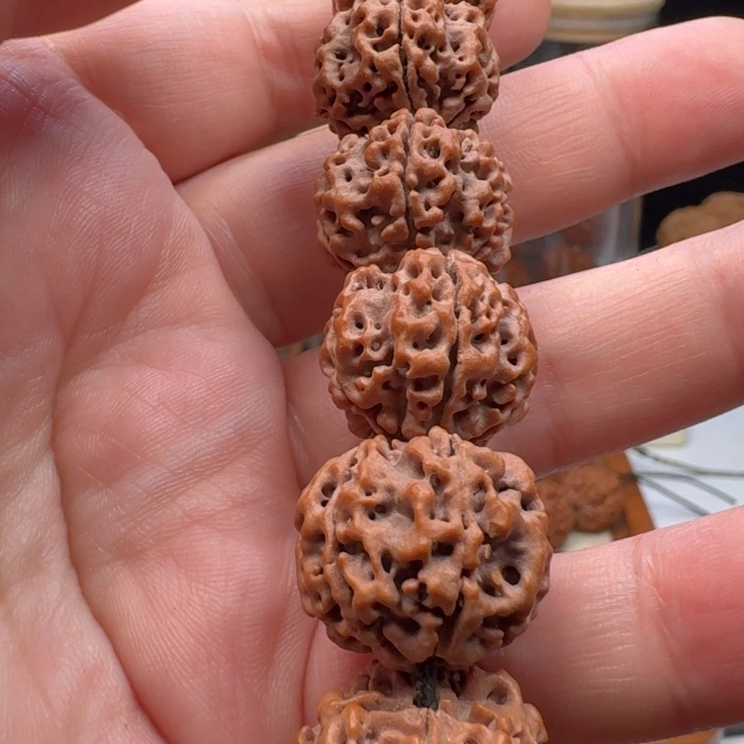 曹***金刚菩提手串蜂窝双龙