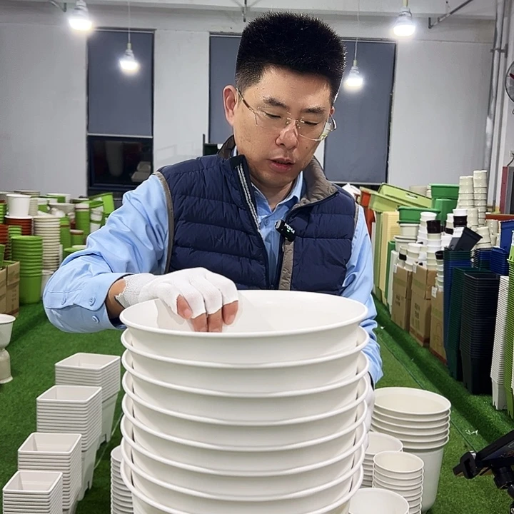 正品矮陶口27高18白色6只无托