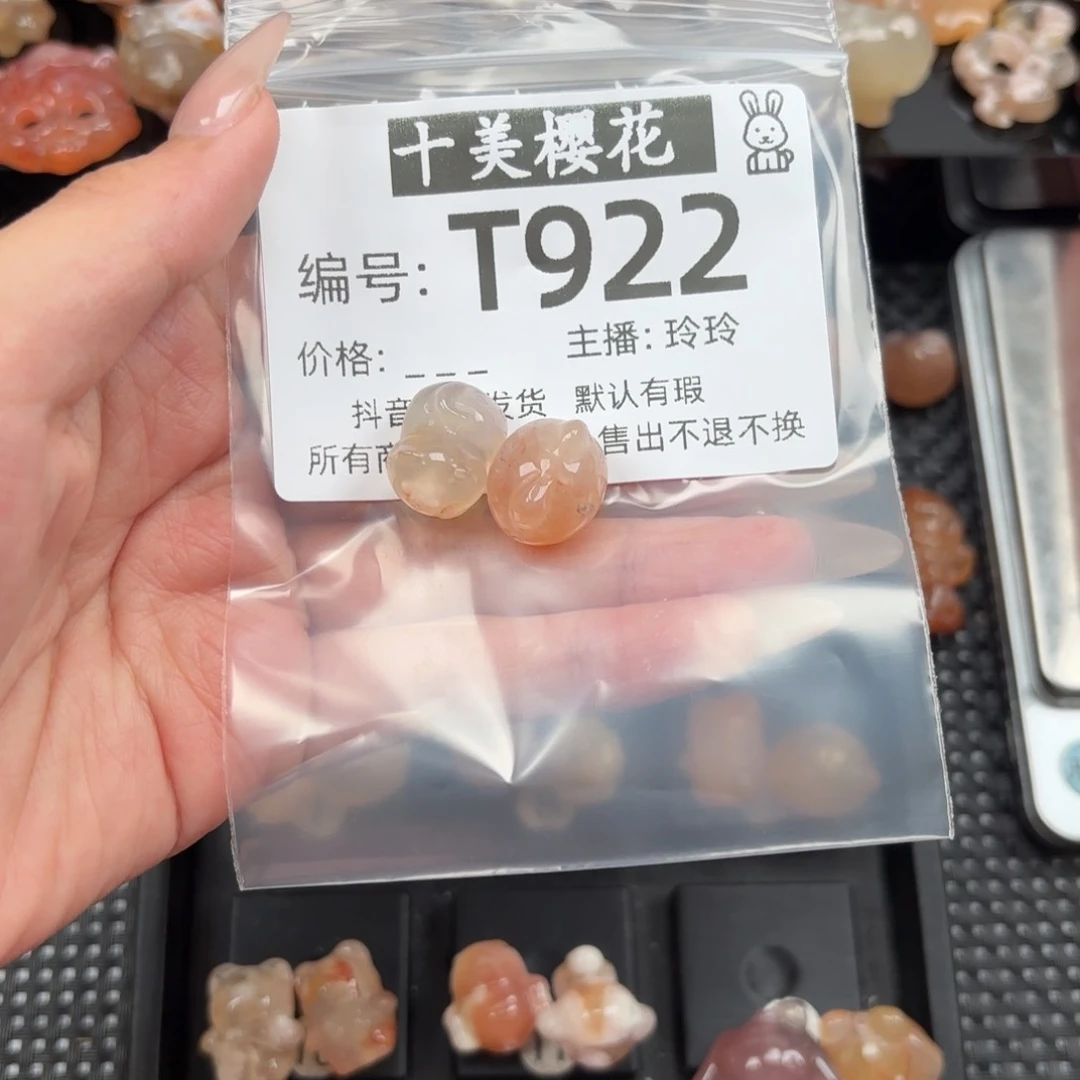 玛瑙/玉髓颈饰未镶嵌林**艳