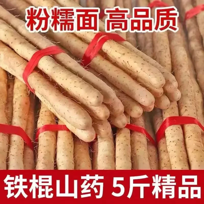 正宗垆土铁棍山药新鲜营养健康粉糯香甜蒸煮炒产地直发5斤