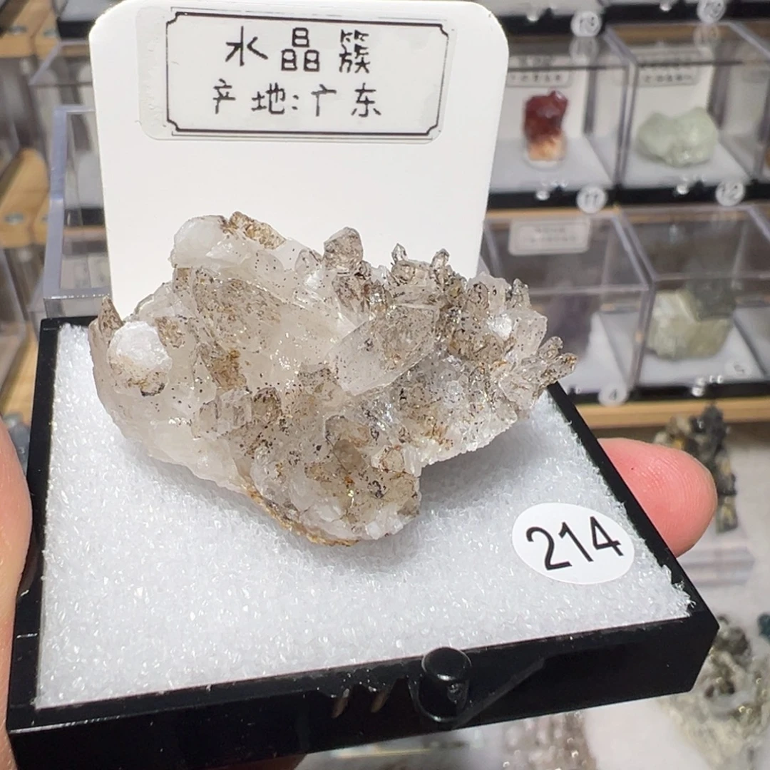 大型摆件（非配饰）银S925镶嵌紫晶