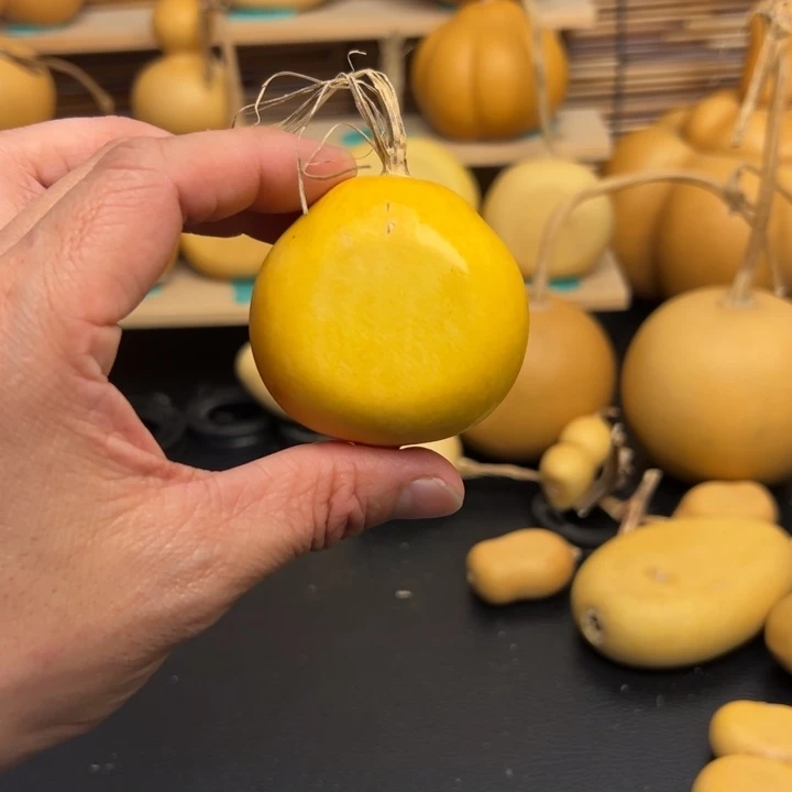 鹅555655565555555996