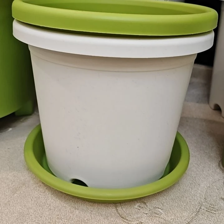 树脂四季盆外口径21，果绿白色混带托五个