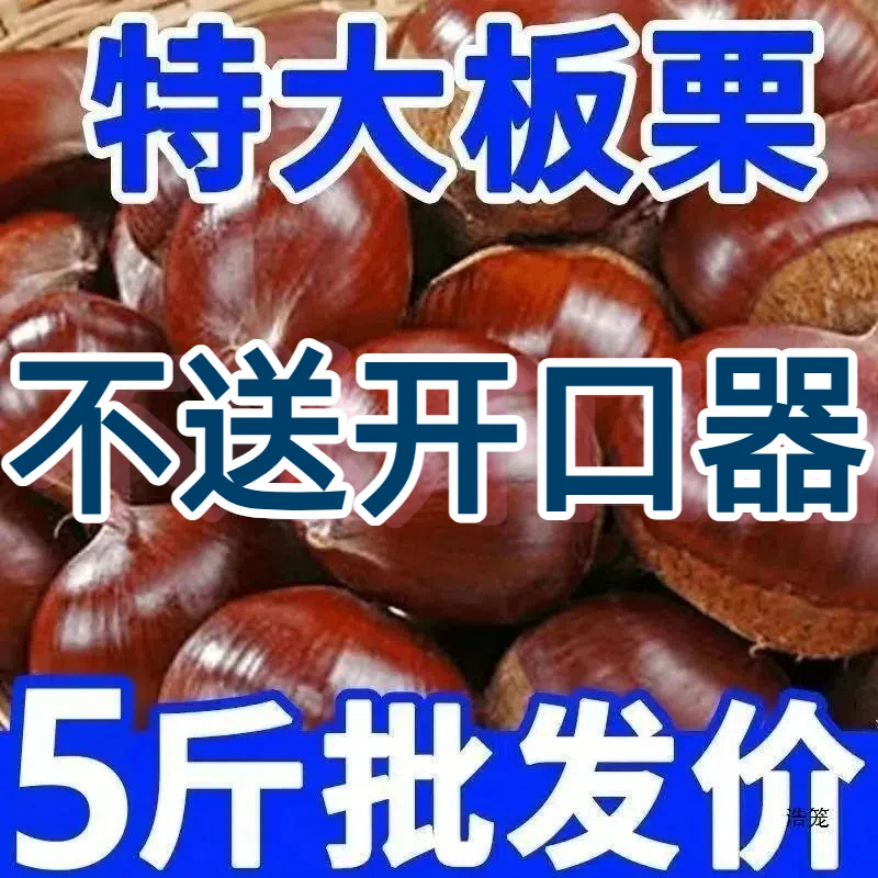 【送栗爪】2025新鲜高丹东新鲜生板栗难剥皮非油栗非锥栗