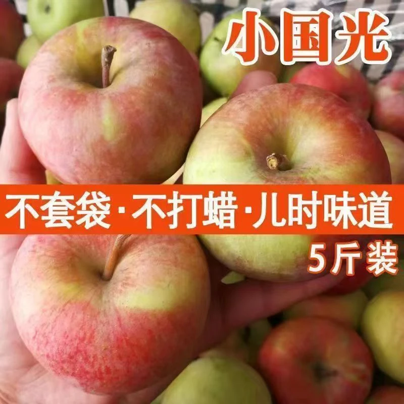 东北老树国光苹果2斤5斤京东包邮到家