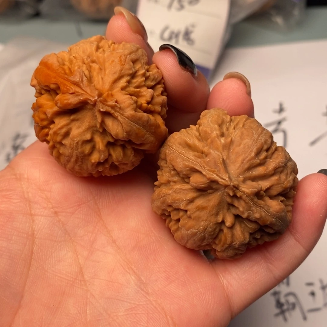 文玩核桃吊坠霸王龙