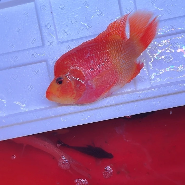 海水啊啊啊啊啊啊啊啊啊