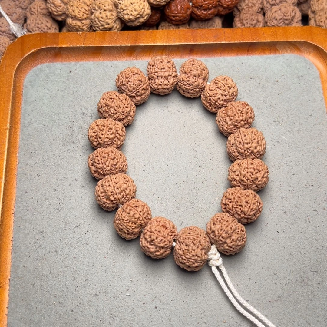 菩提33号金刚菩提六瓣21超头