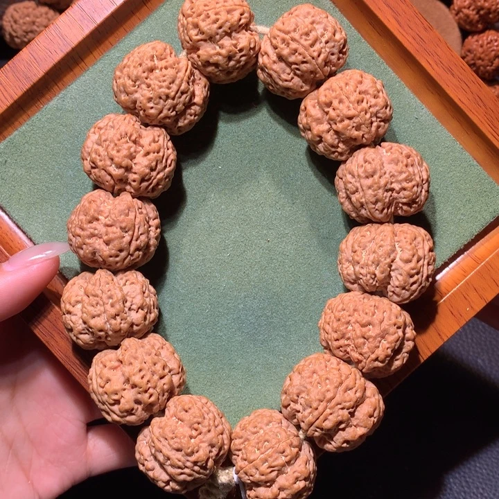 手串金刚菩提27+九龙梅花