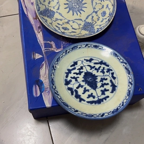 S***X杂色豆（科檀/科特迪瓦檀木）