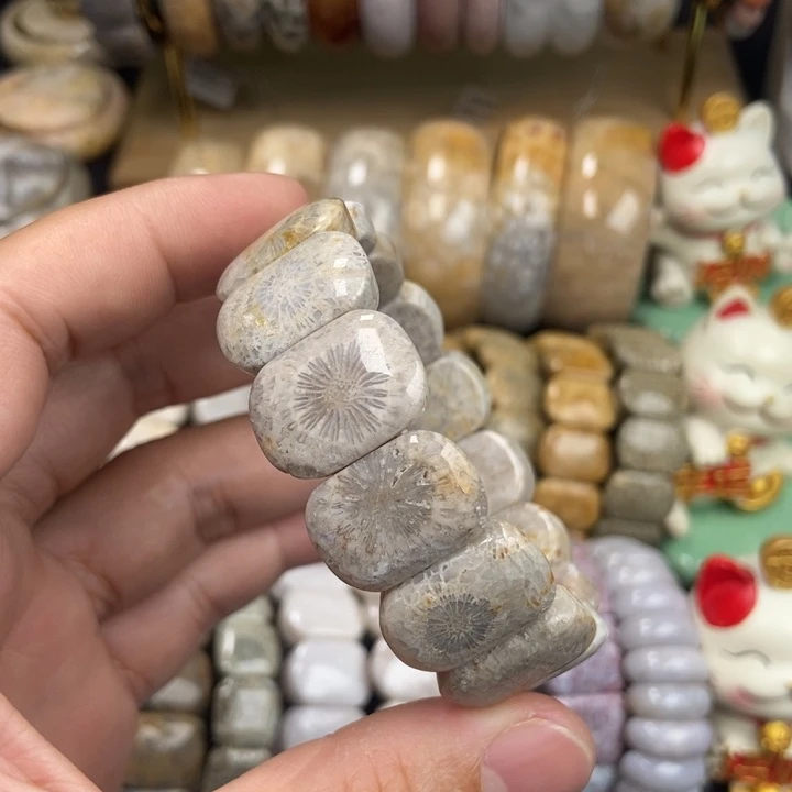 未镶嵌手链硅化珊瑚（珊瑚玉）