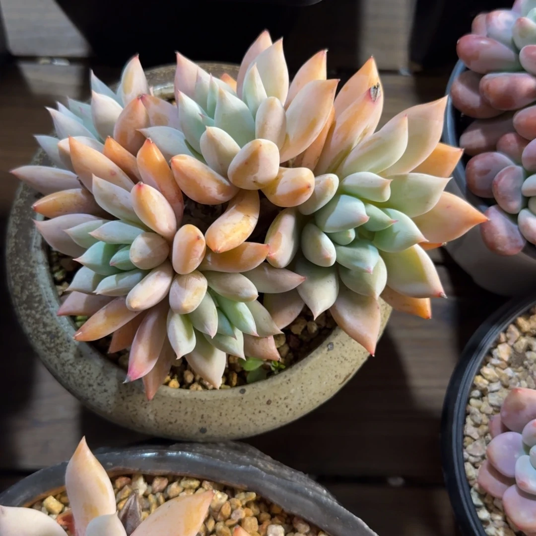 暮光111111111111111111111122