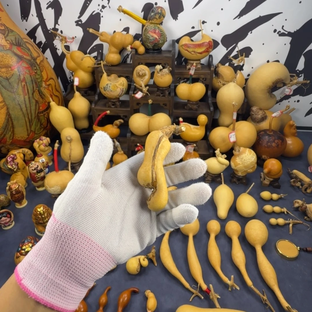 A****葫芦葫芦葫芦葫芦葫芦葫芦葫芦