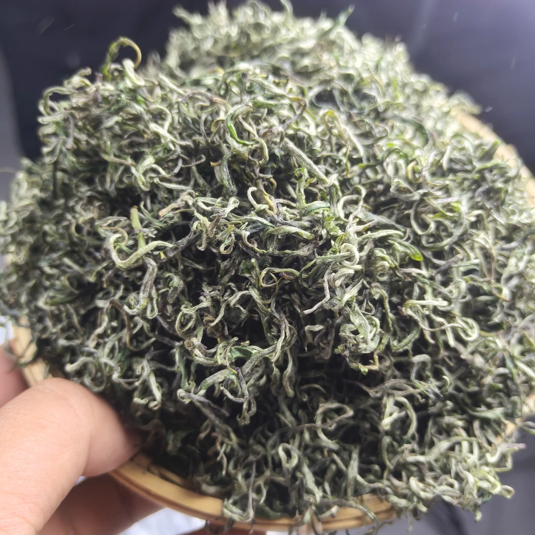 2025年湘西黄金茶明前茶试喝装