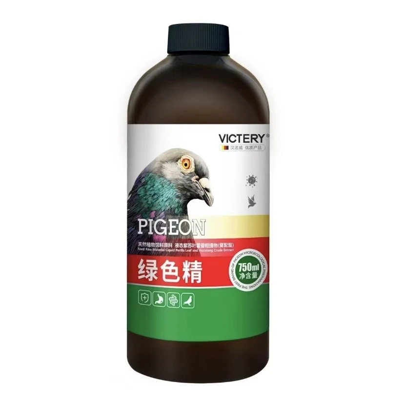 汉诺威绿色精 鸽子 鸟用品