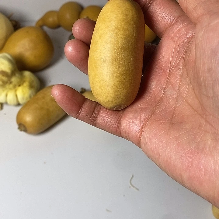 不***一青皮葫芦手把件葫芦