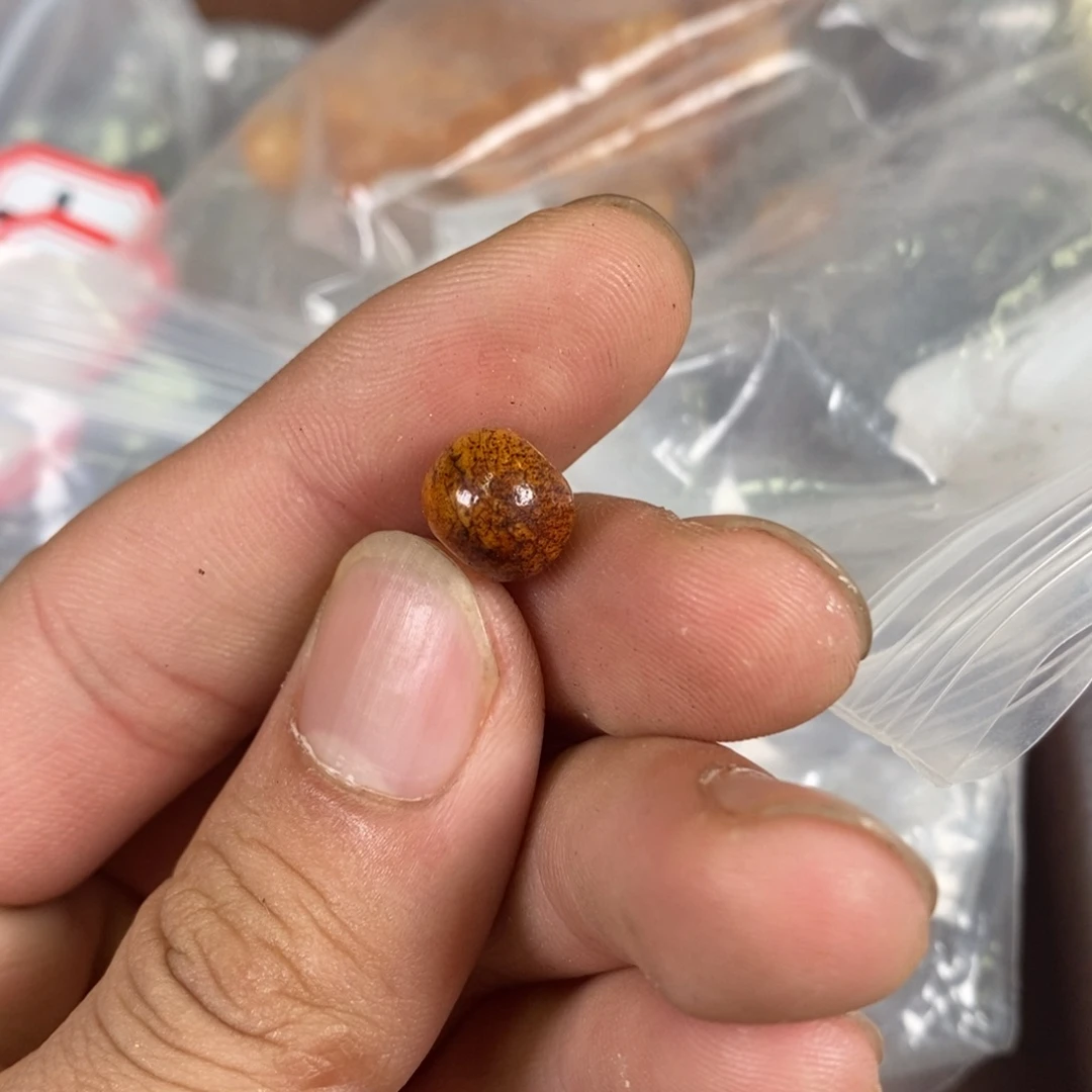 手串/手链驼骨配饰2