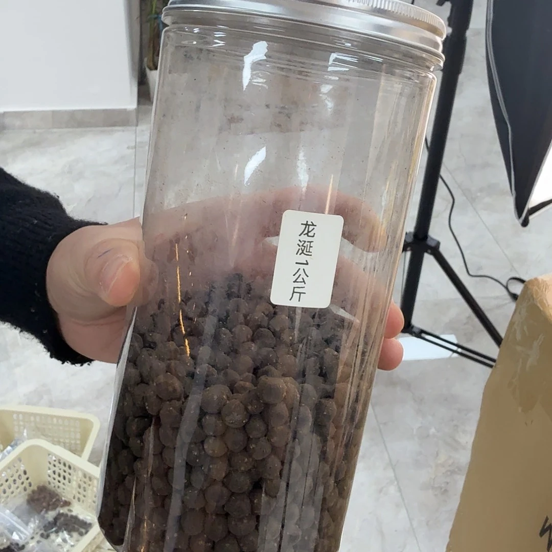 日***星张小姑子咯哈夏小姑