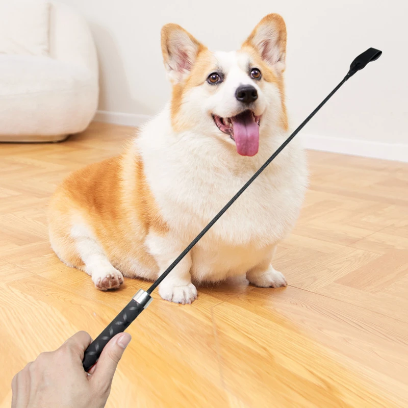 【宠大条】训犬鞭宠物训练用品训狗鞭子训狗用品麻咬棒训犬棒