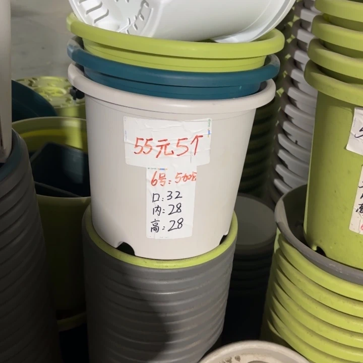 四季6#口径32无托果绿5个