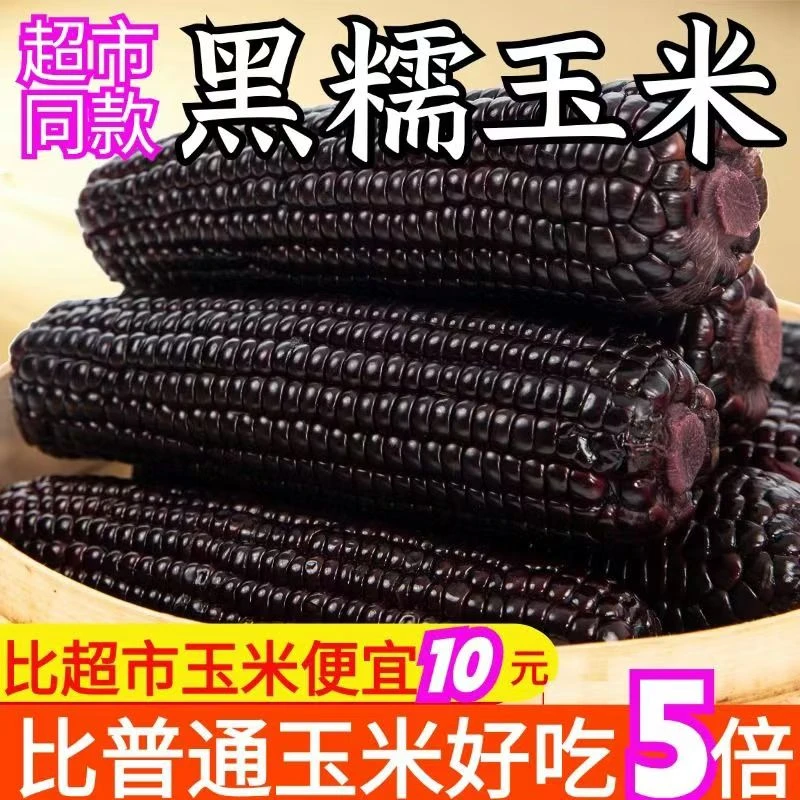【试吃4根】东北黑糯玉米软糯香甜拍10根加4根整箱7斤左右