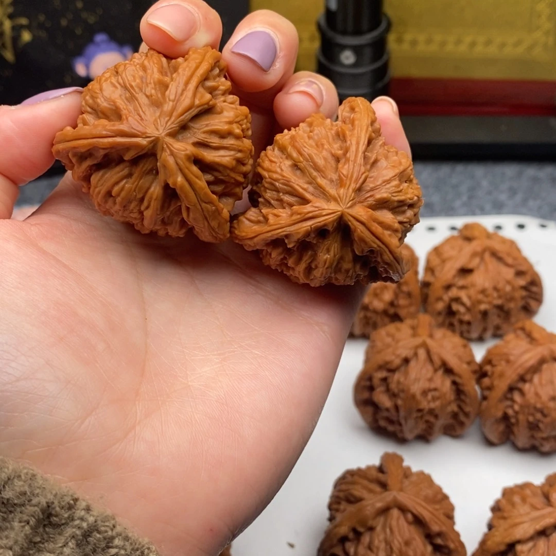 半*白狮子111111111