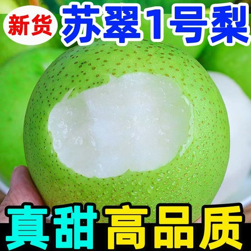 湖北现摘六月雪苏翠翠冠青皮梨新鲜应季水果脆甜多汁无渣4.5-5斤