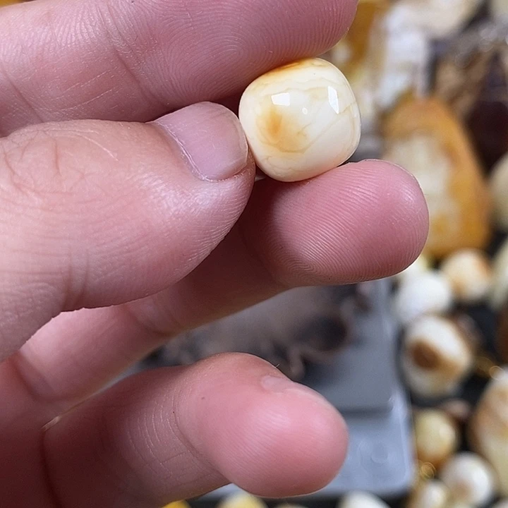 未镶嵌琥珀裸石我