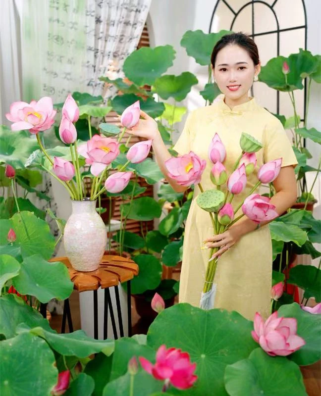 【顺丰】新鲜花荷花佛用供品鲜切花莲蓬基地直发