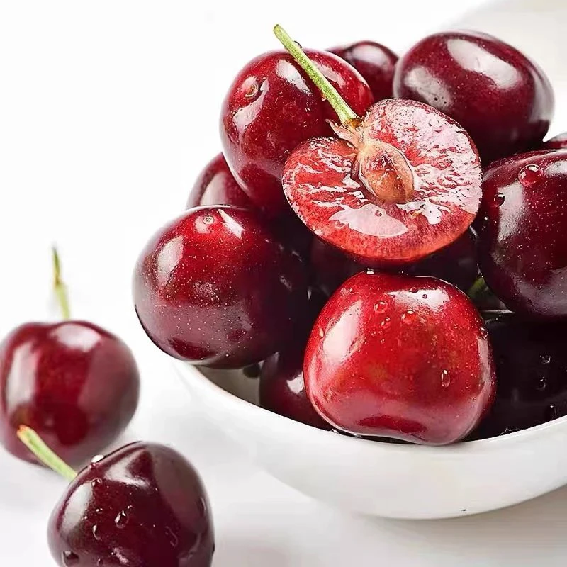 每天水果优选 山东烟台美早樱桃 脆甜爽口新鲜现摘现发 当季整箱