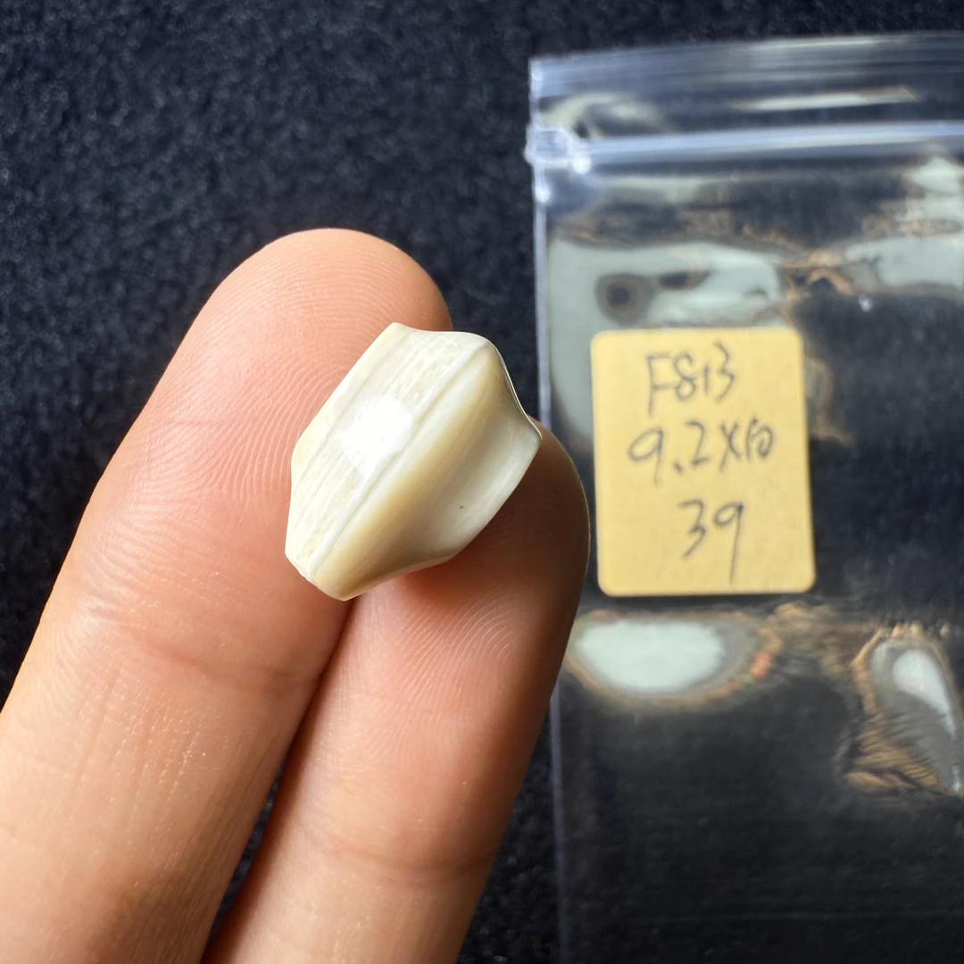 F813猛犸象牙鲨鱼背三通尺寸9.2*10mm果冻料汉堡三通