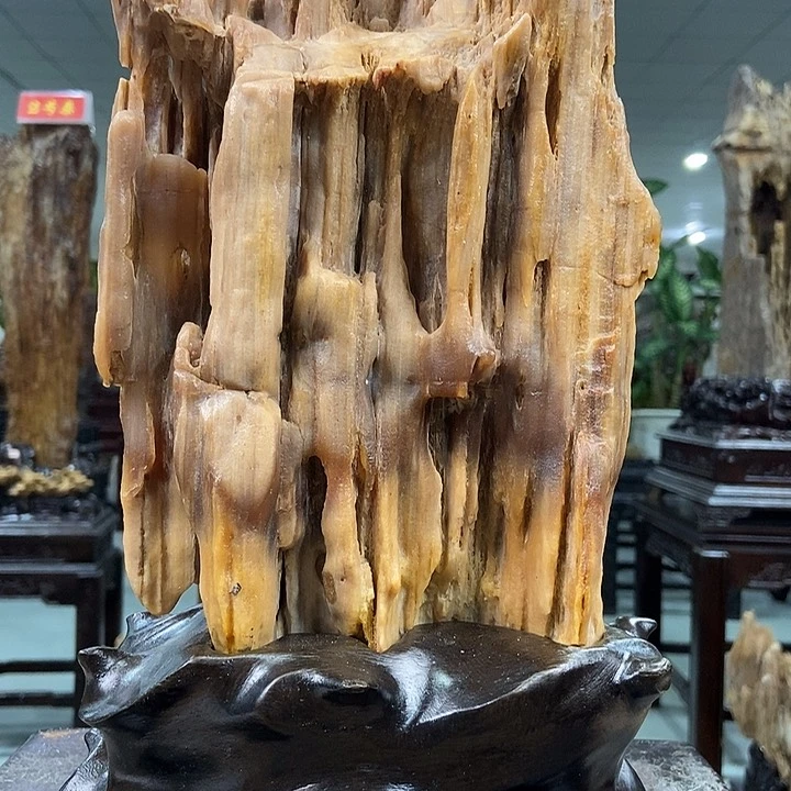 石材大自然的秘密