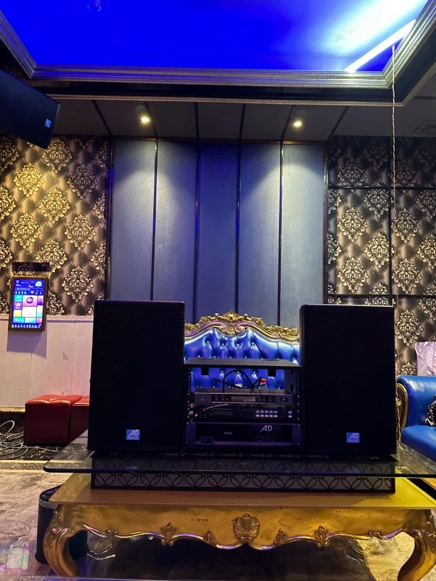 德国 大AD X12家庭KTV专业四件套 ➕点歌机唱无界，不包邮