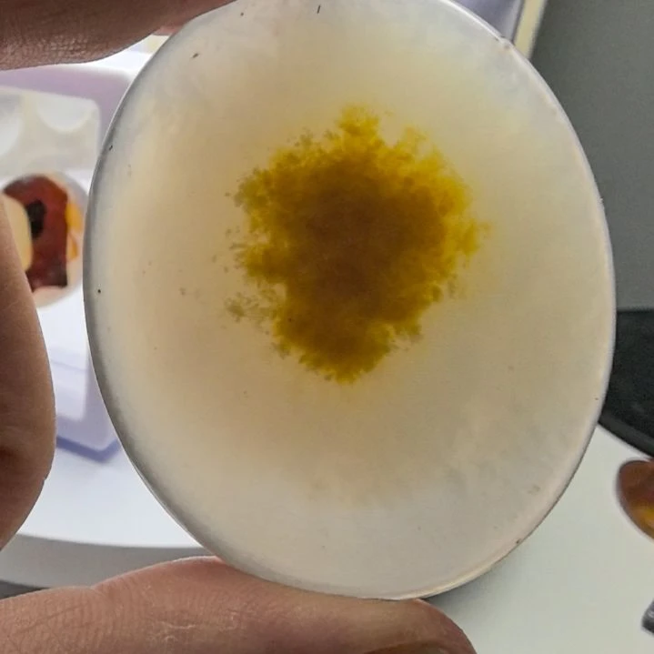 非金属时尚饰品04