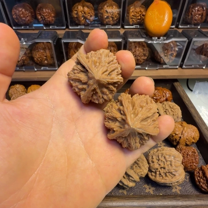 道哥俱乐部t文山三棱40