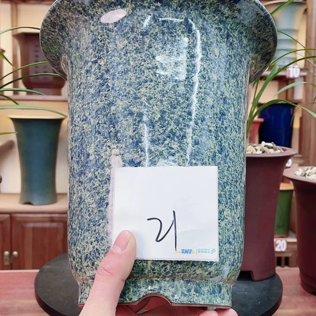 【闪购商品】紫砂花盆清**月兰花445584447777775588