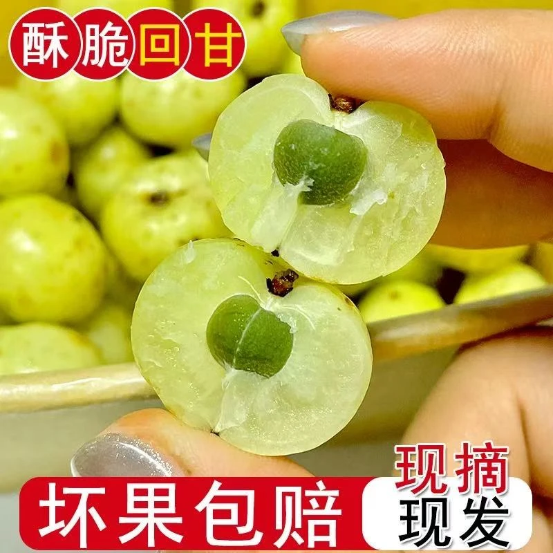 潮汕金灶柿饼甜油甘酥脆回甘无渣油甘果1-5斤装包邮