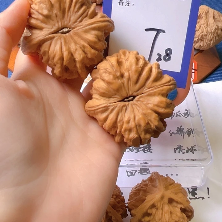 文玩核桃把件海****措文玩核桃28