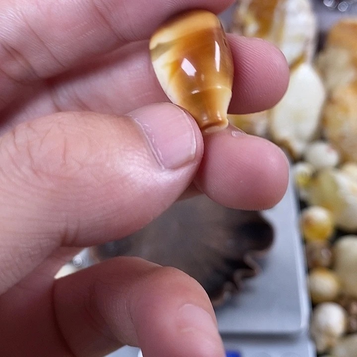 琥珀未镶嵌裸石我