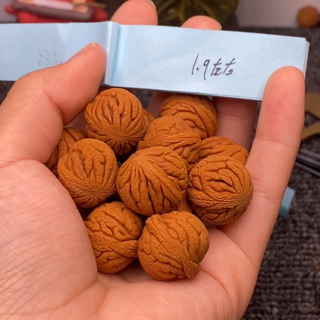 秦岭山脉龙纹桃核 14
