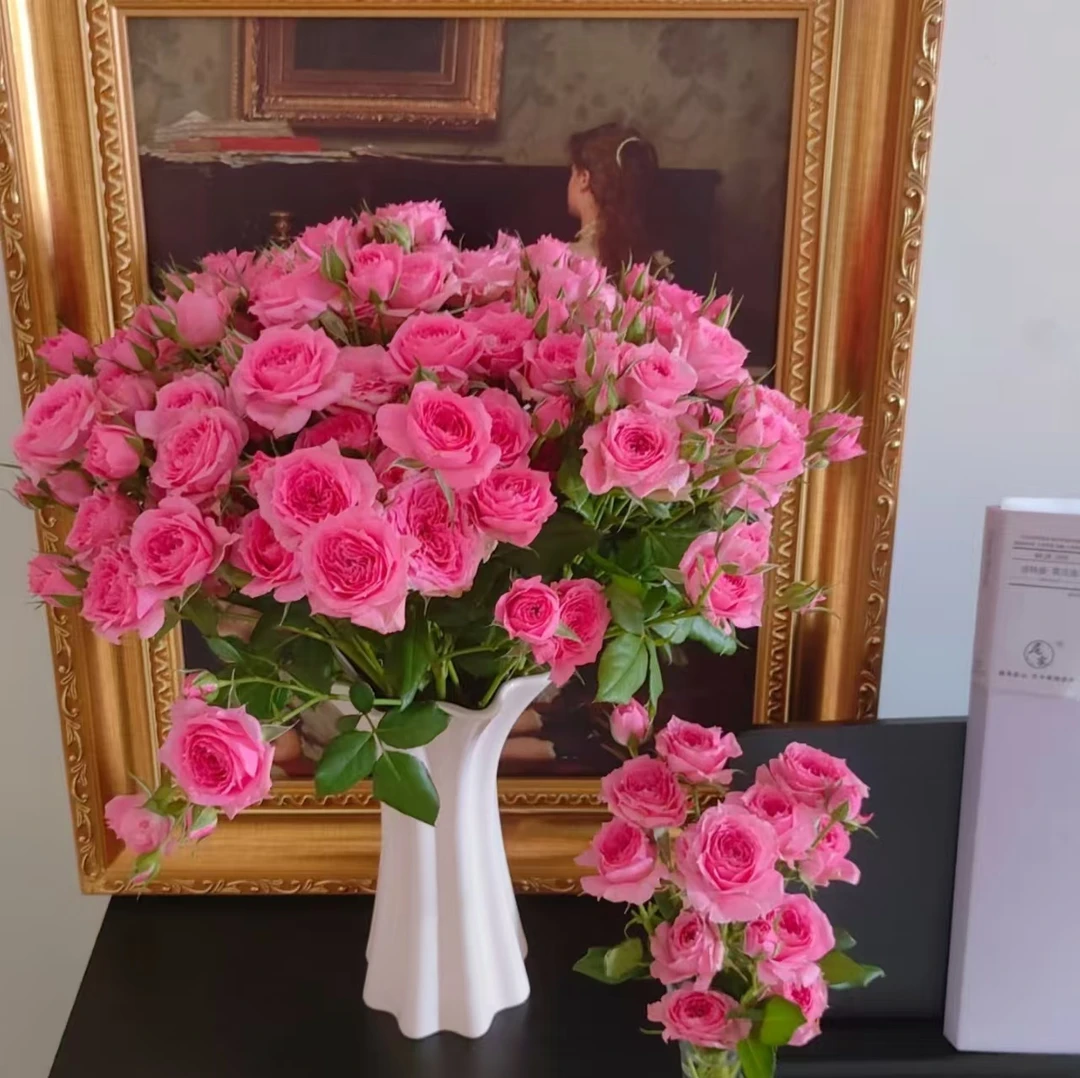 10枝折射+10枝苏菲宝贝+10枝星荷玫瑰