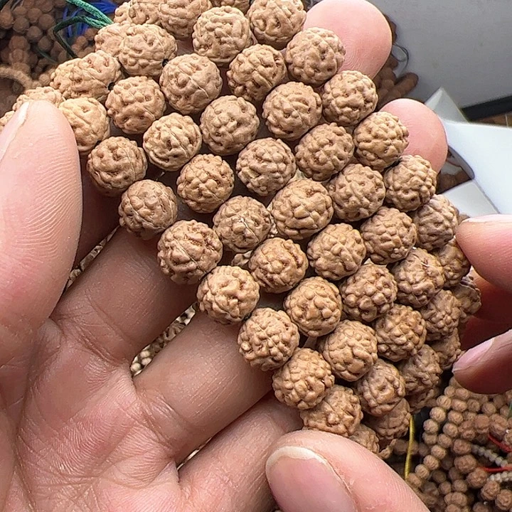 金刚菩提手串贾蛤蟆