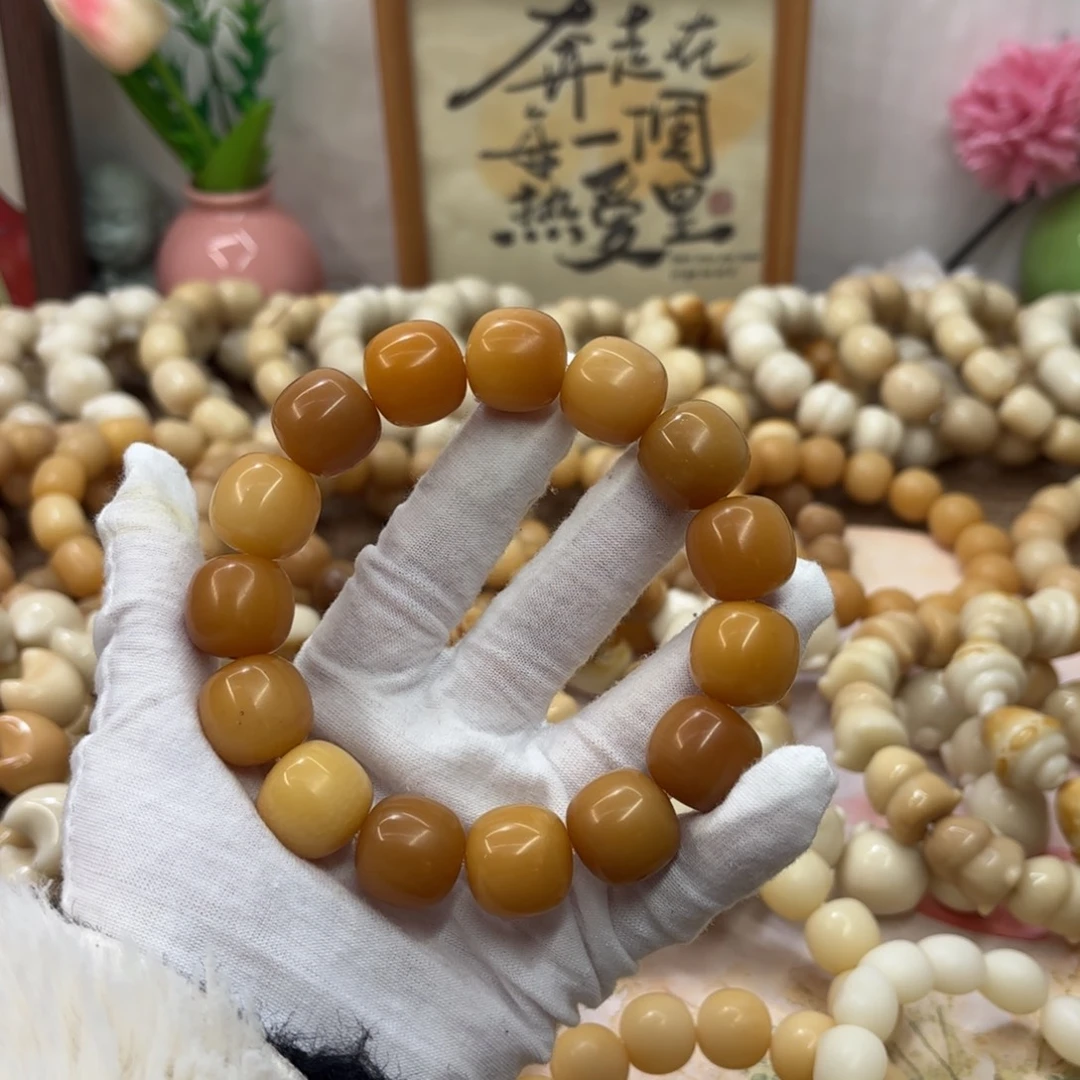 吊坠菩提根/象牙果18干磨瑕疵落地果353