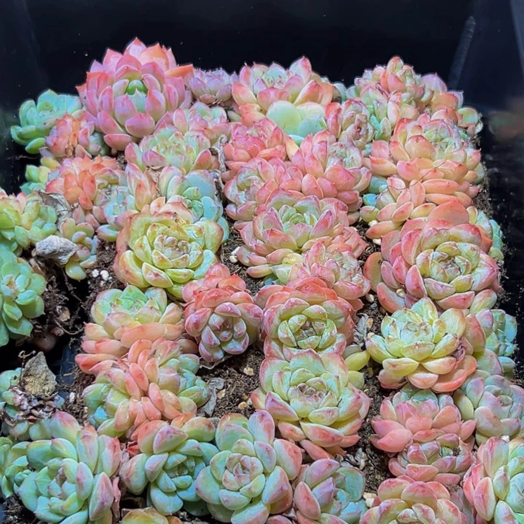 454去了一趟医院就好了我