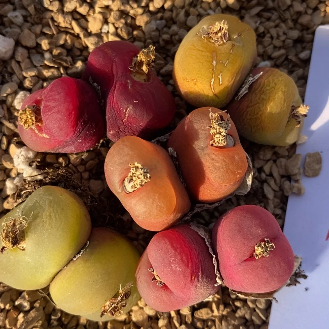 1441一组一组一组