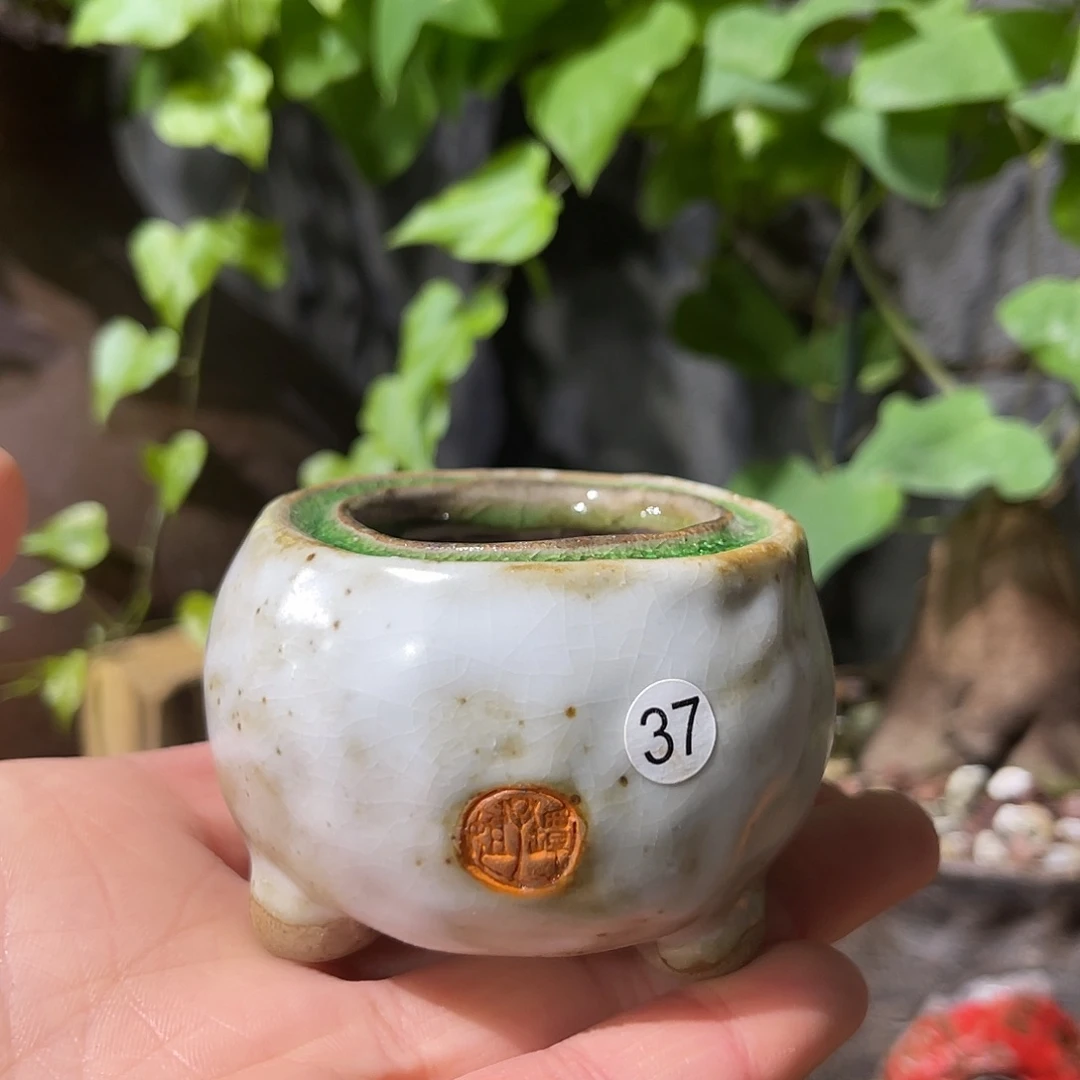 内口4外高4厘米左右