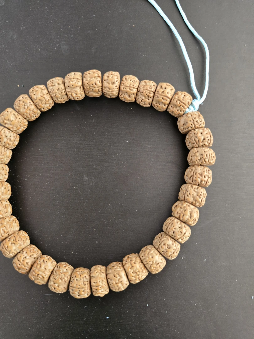 树祖金刚矮桩手持201