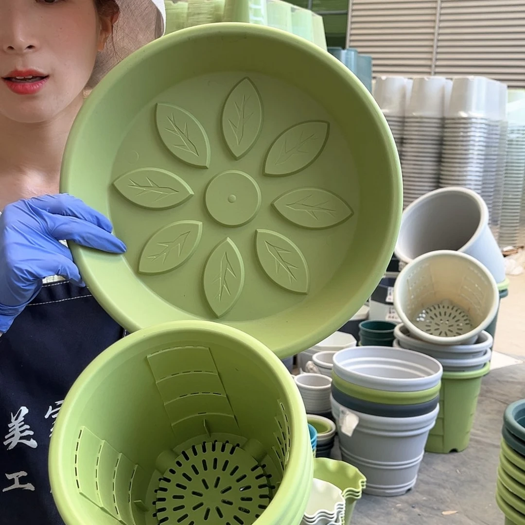 玫瑰盆200#果绿色5个含托